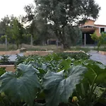 Emirsoy Harasi Bademler
