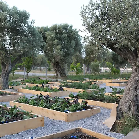 Emirsoy Harasi Bed & Breakfast