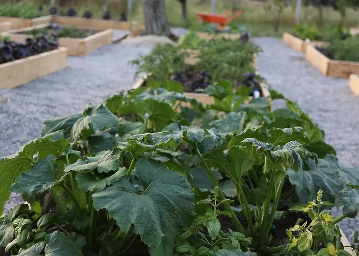 Bed & Breakfast Emirsoy Harasi Bademler