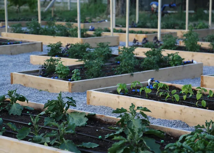 Bed & Breakfast Emirsoy Harasi