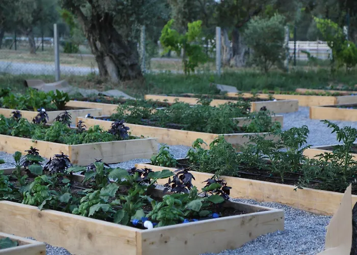 Emirsoy Harasi Bed & Breakfast Bademler