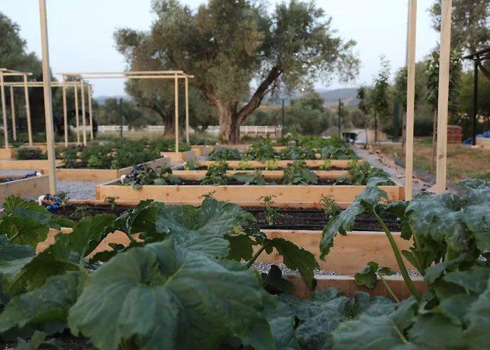 Emirsoy Harasi Bed & Breakfast 3*