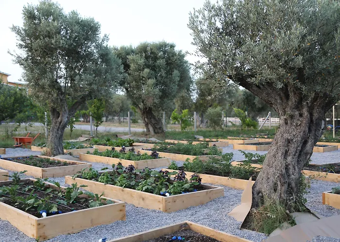 Emirsoy Harasi Bed & Breakfast