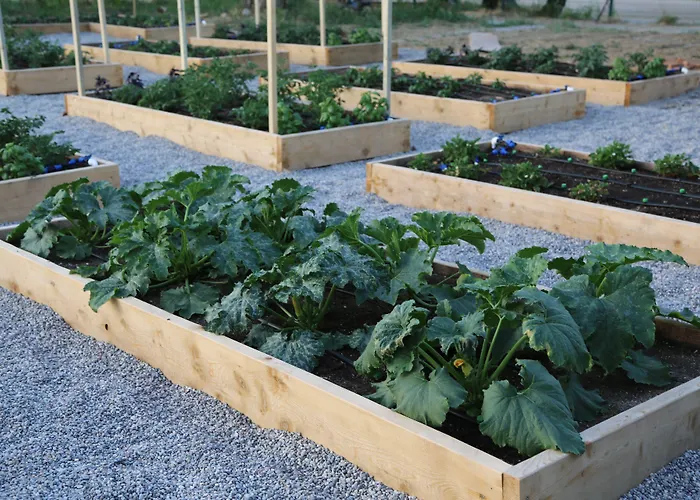 Bed & Breakfast Emirsoy Harasi Bademler