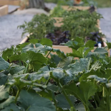 Emirsoy Harasi Bed & Breakfast Bademler