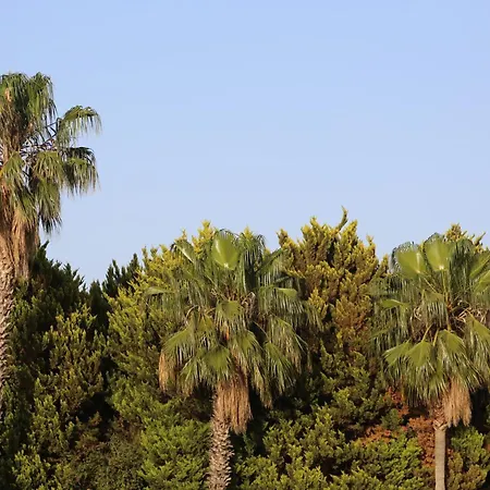 Emirsoy Harasi 3* Bademler