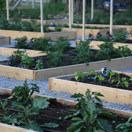 Bed & Breakfast Emirsoy Harasi