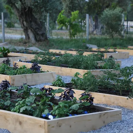 Emirsoy Harasi Bed & Breakfast Bademler