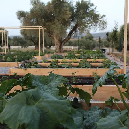 Emirsoy Harasi Bed & Breakfast 3*