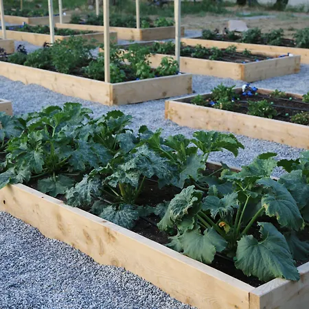 Bed & Breakfast Emirsoy Harasi Bademler