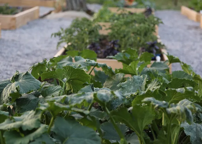 Emirsoy Harasi Bed & Breakfast Bademler