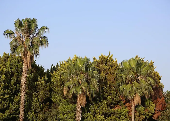 Emirsoy Harasi 3* Bademler