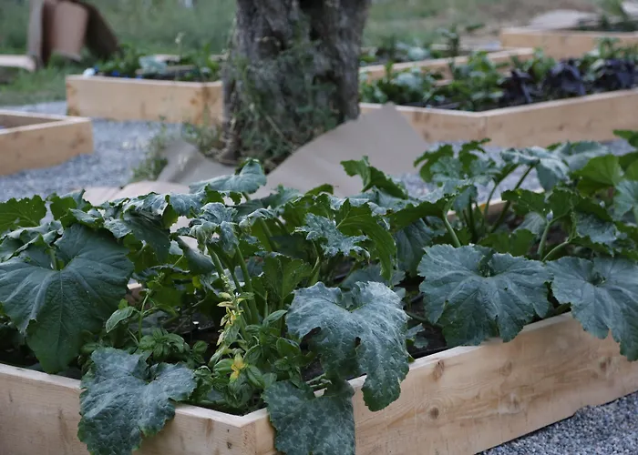 Bed & Breakfast Emirsoy Harasi 3*