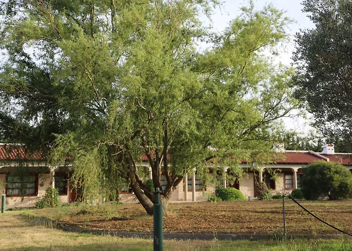 Emirsoy Harasi Bed & Breakfast Bademler