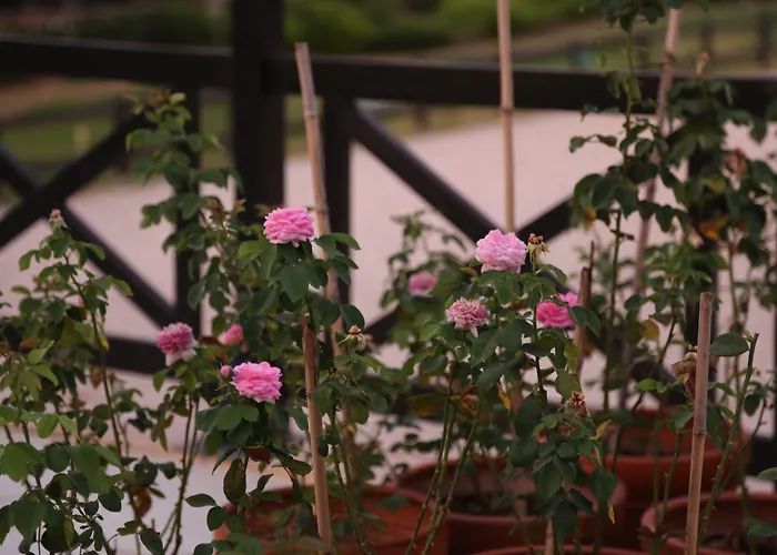 Emirsoy Harasi Bed & Breakfast Bademler